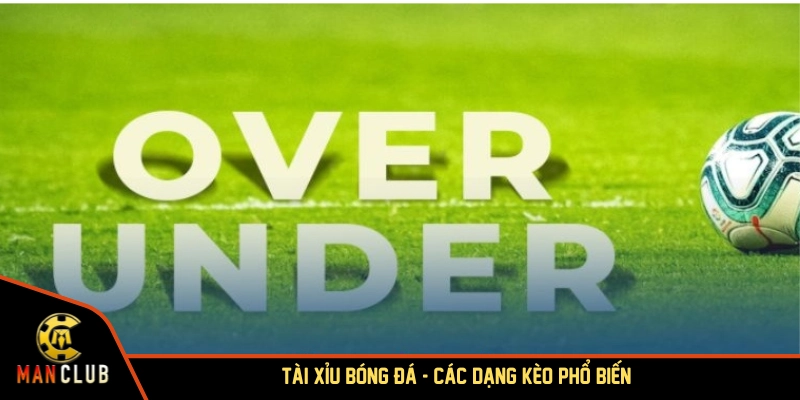 Tài xỉu bóng đá là gì với các dạng kèo phổ biến nhất