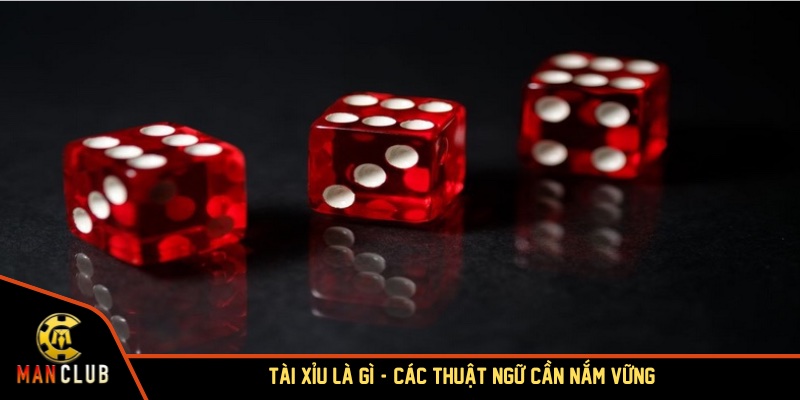 Tài xỉu là gì? Các thuật ngữ cần nắm vững